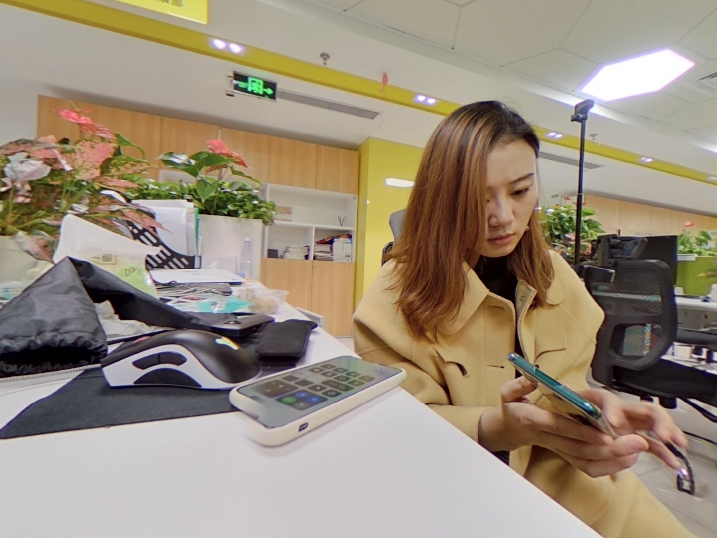 VR预览图