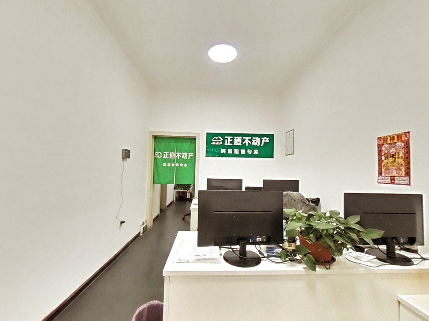 VR预览图