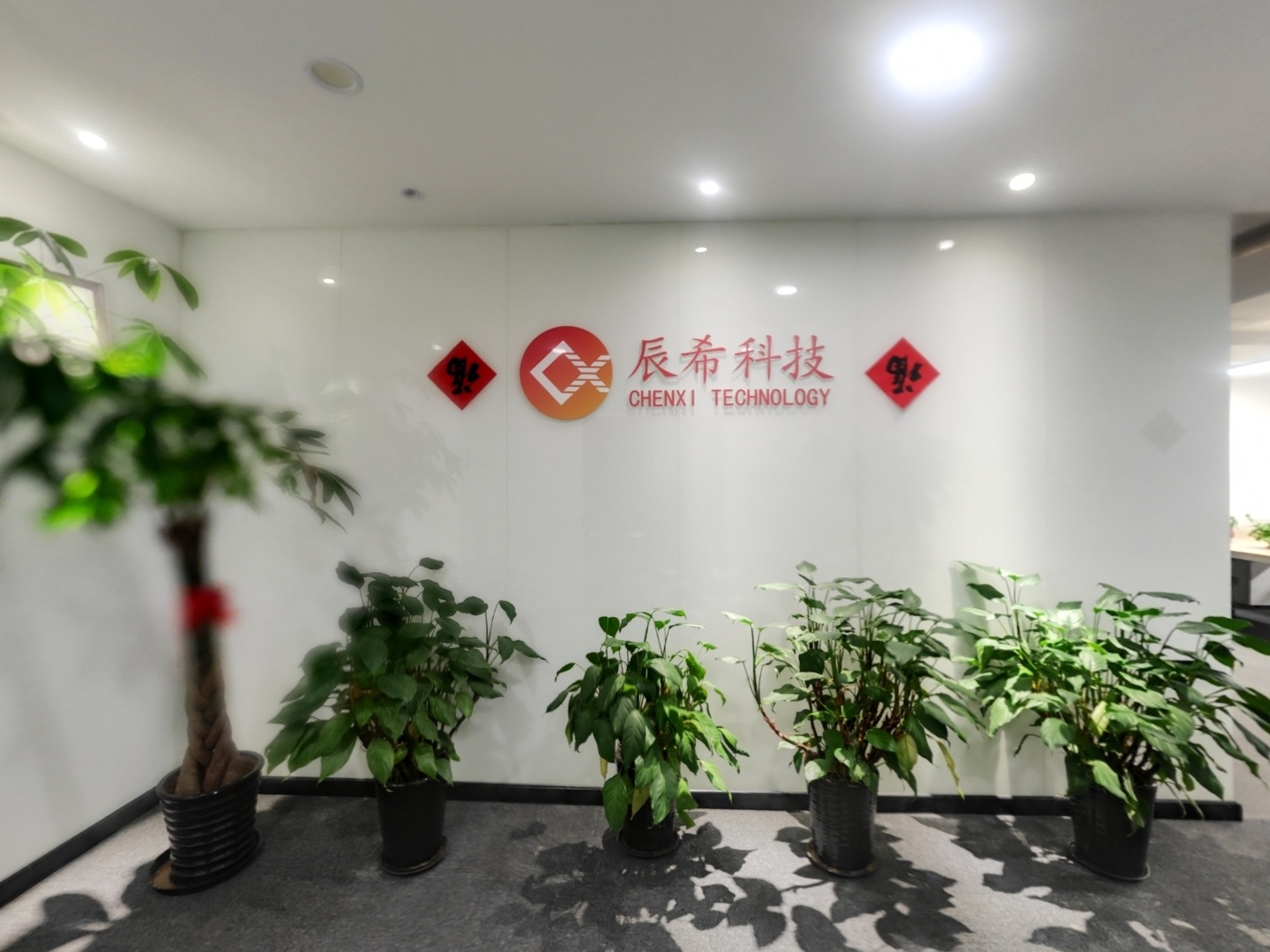VR预览图
