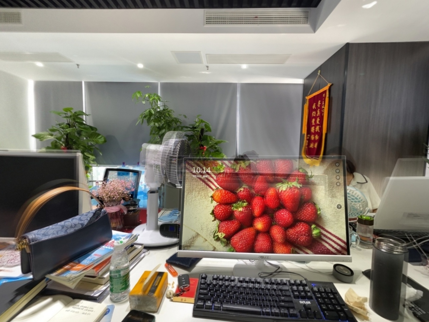 VR预览图