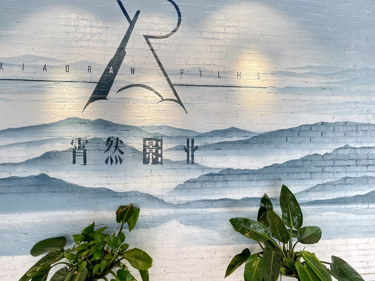 VR预览图