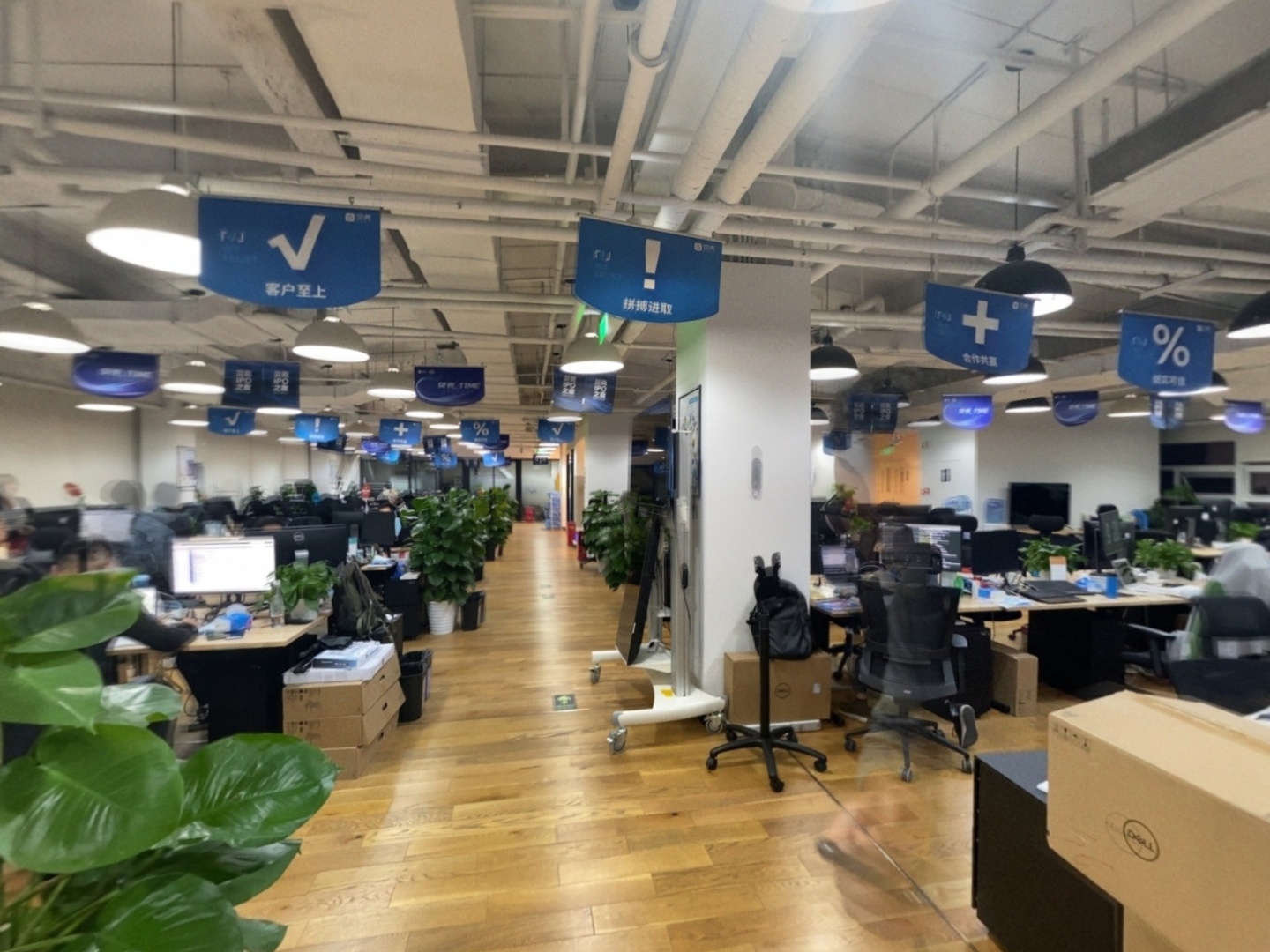 VR预览图