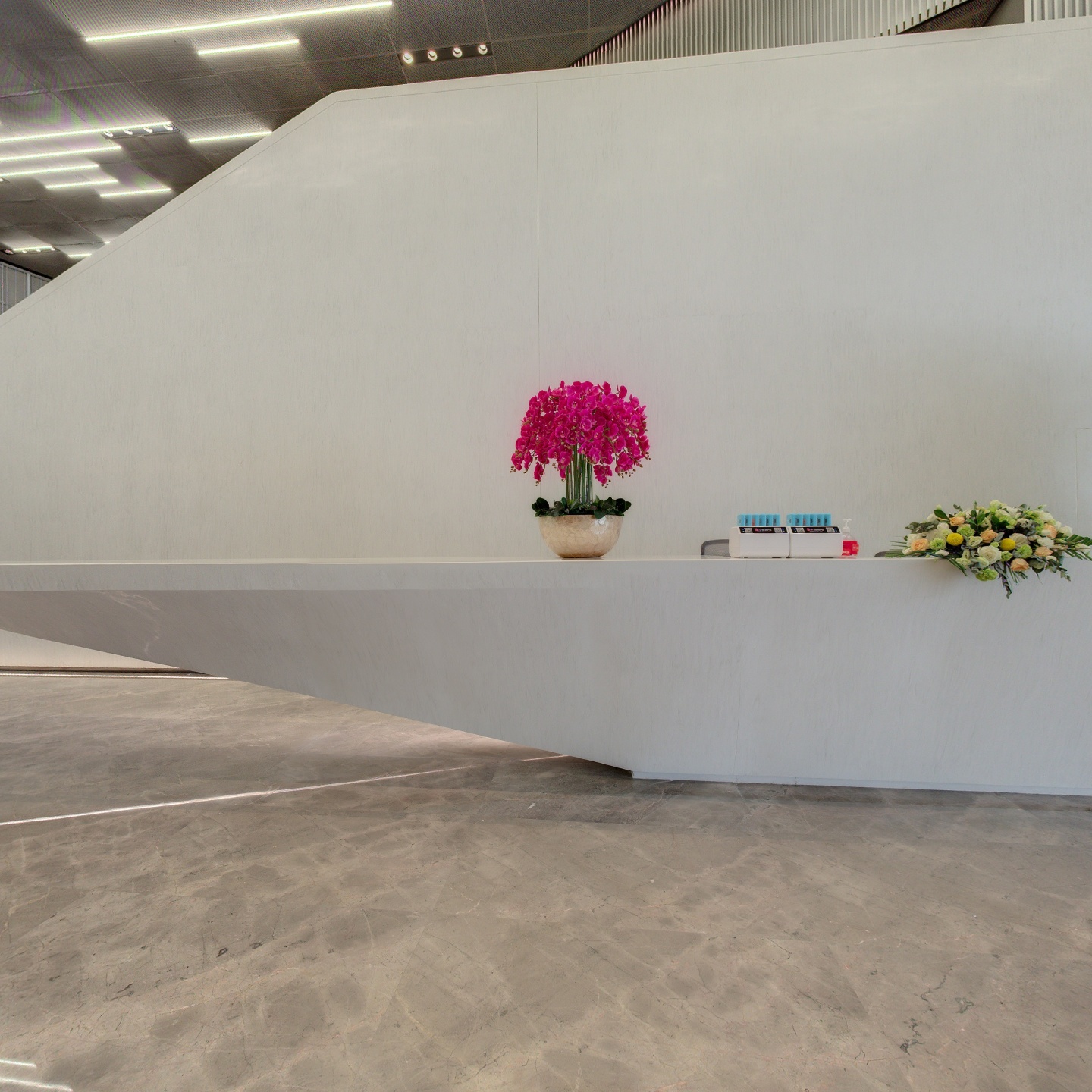 北京雁栖嘉诚城市建设开发有限公司-前厅,如视VR