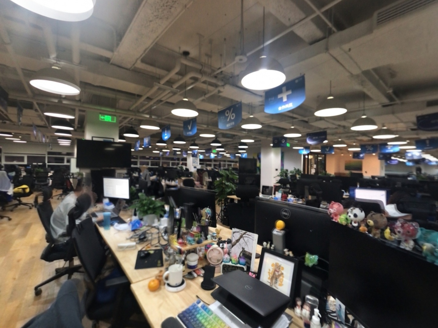 VR预览图