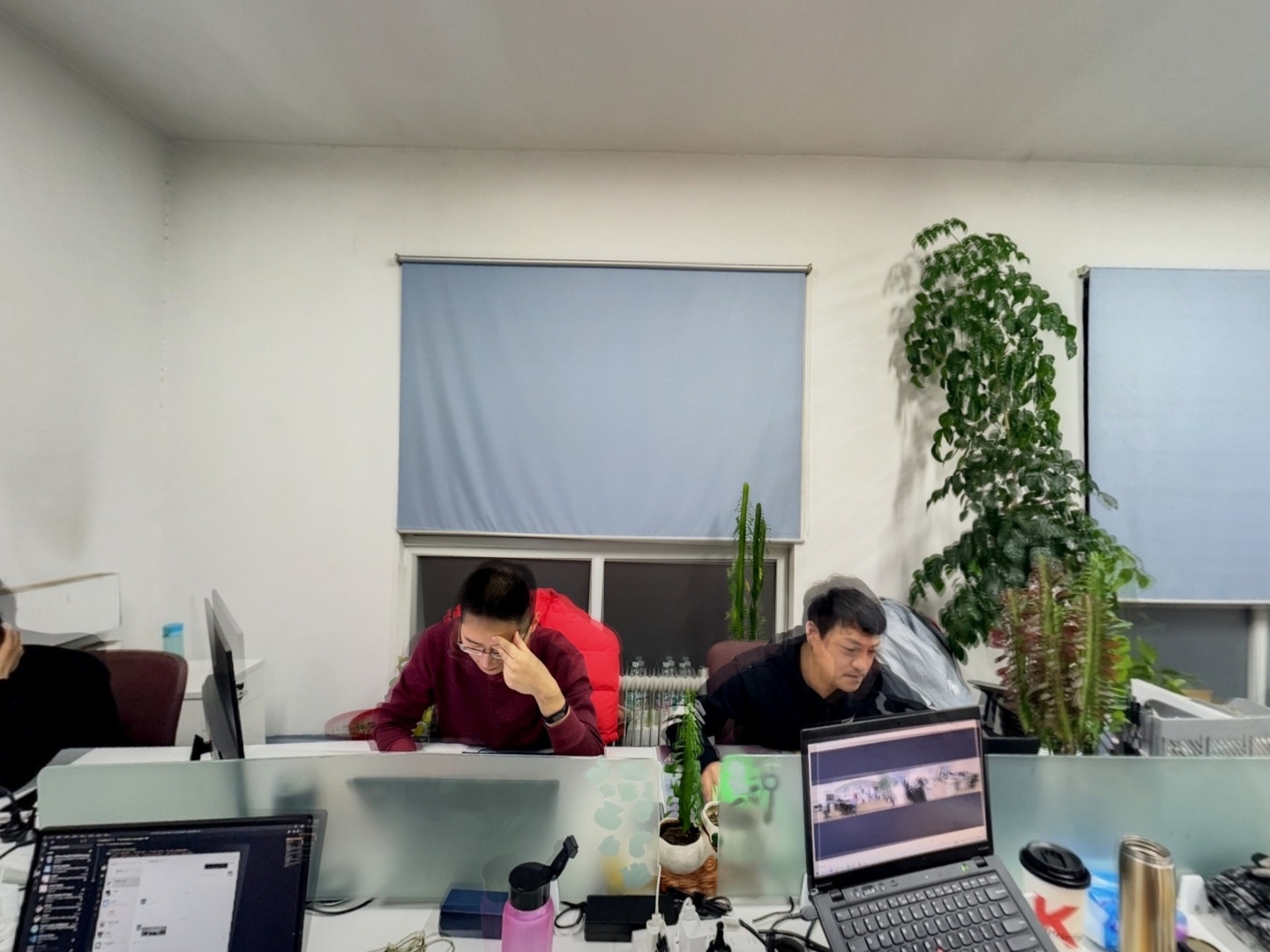 VR预览图