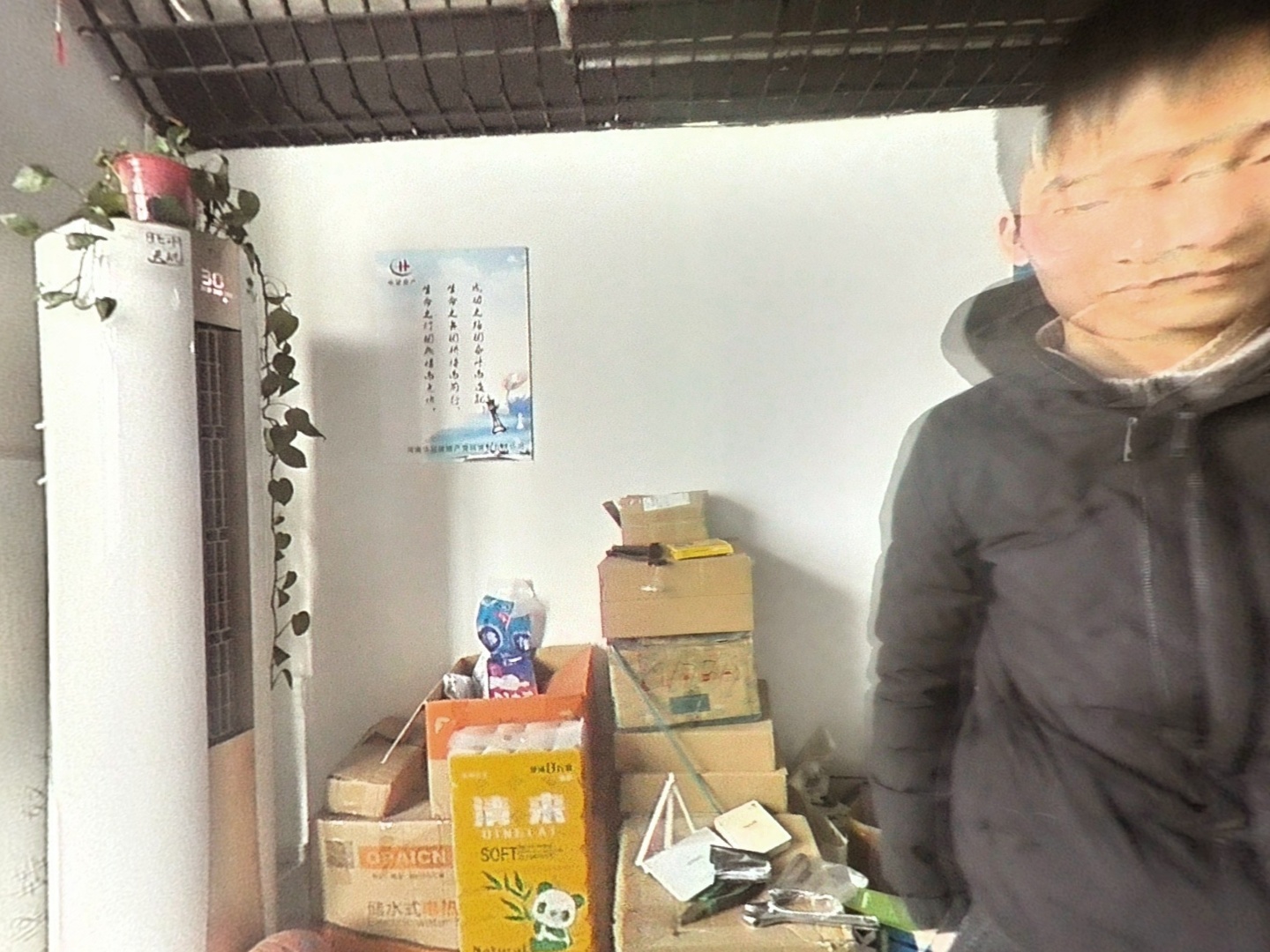 VR预览图