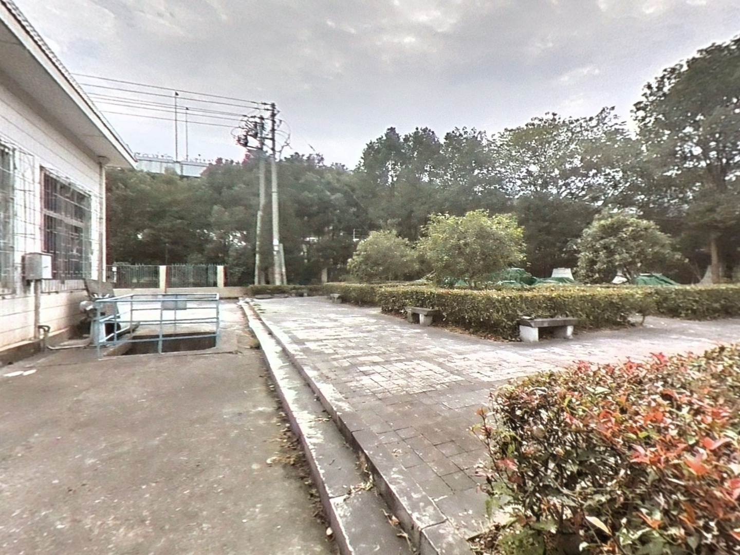 VR预览图