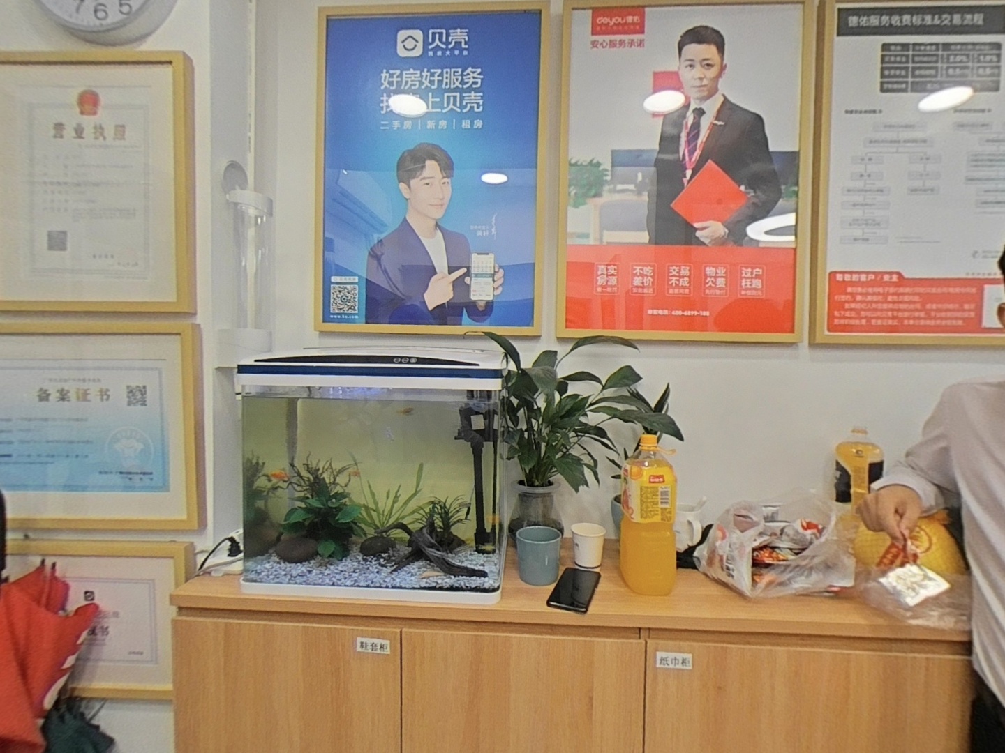 VR预览图