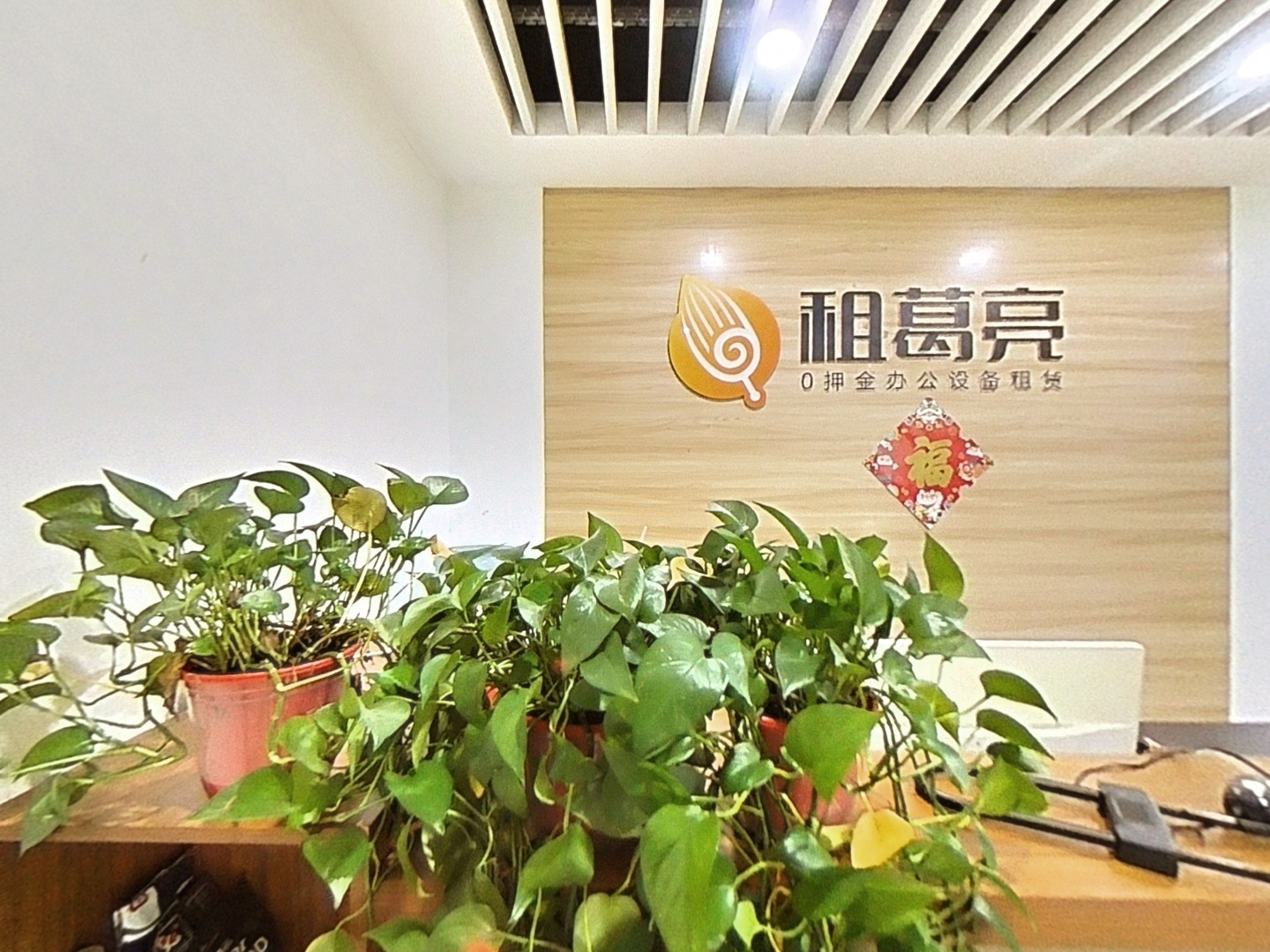 VR预览图