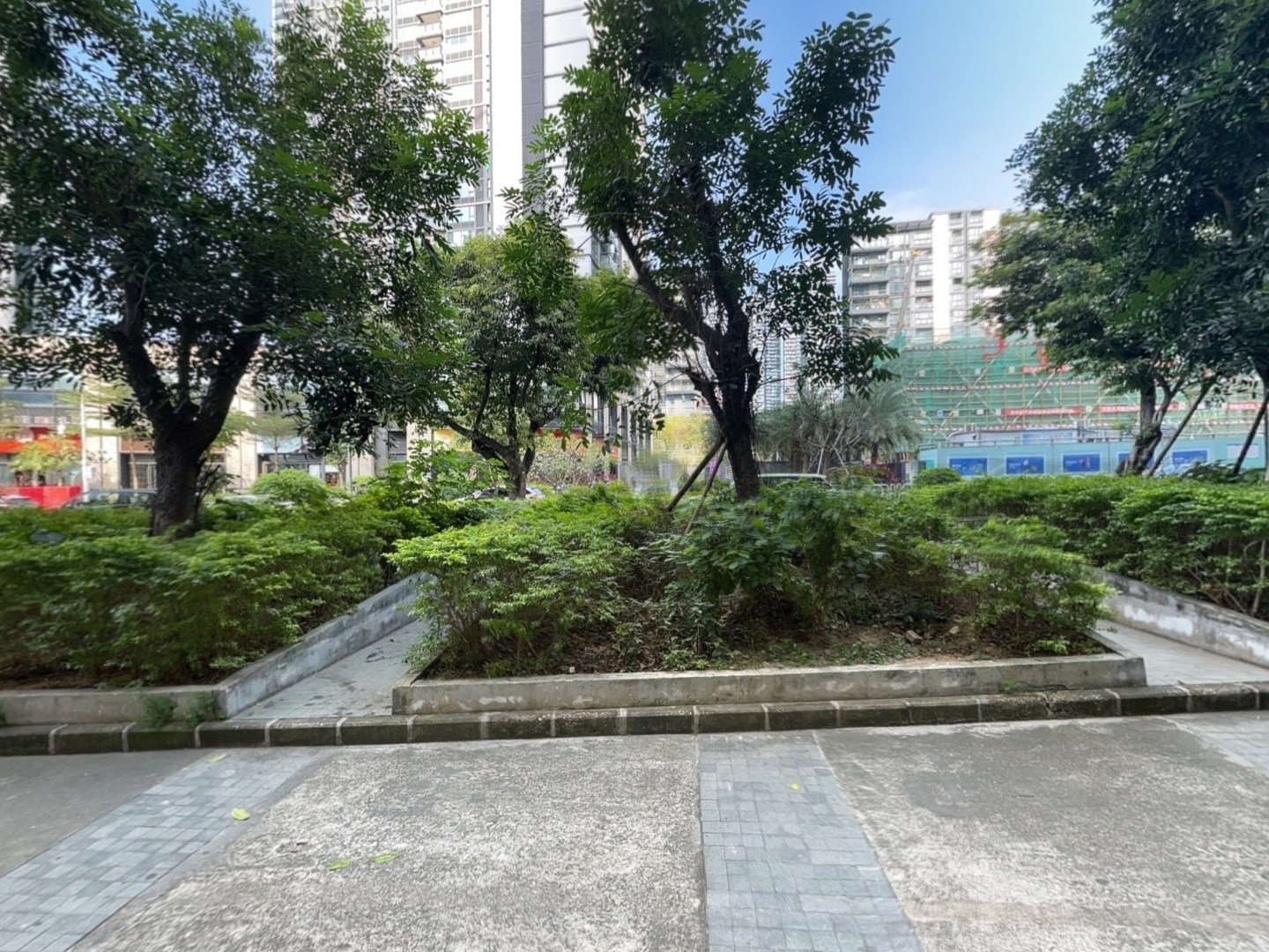 VR预览图