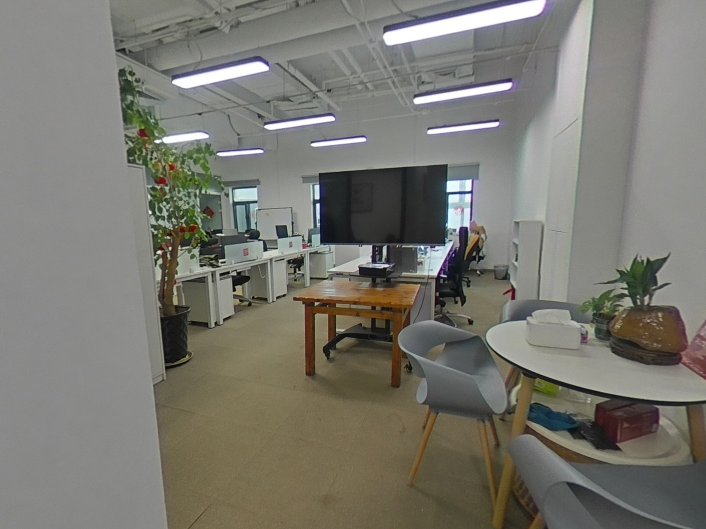 VR预览图