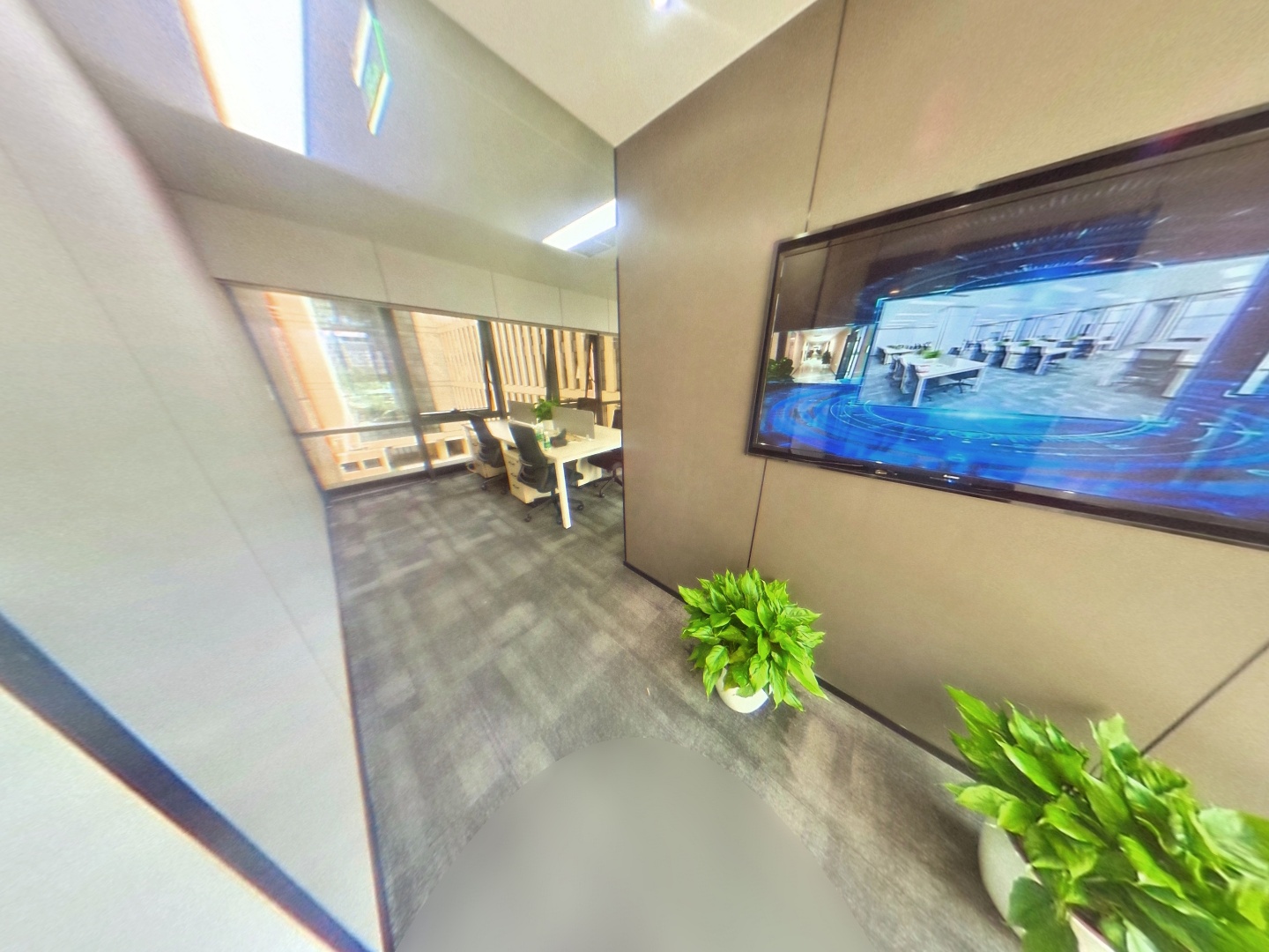 VR预览图
