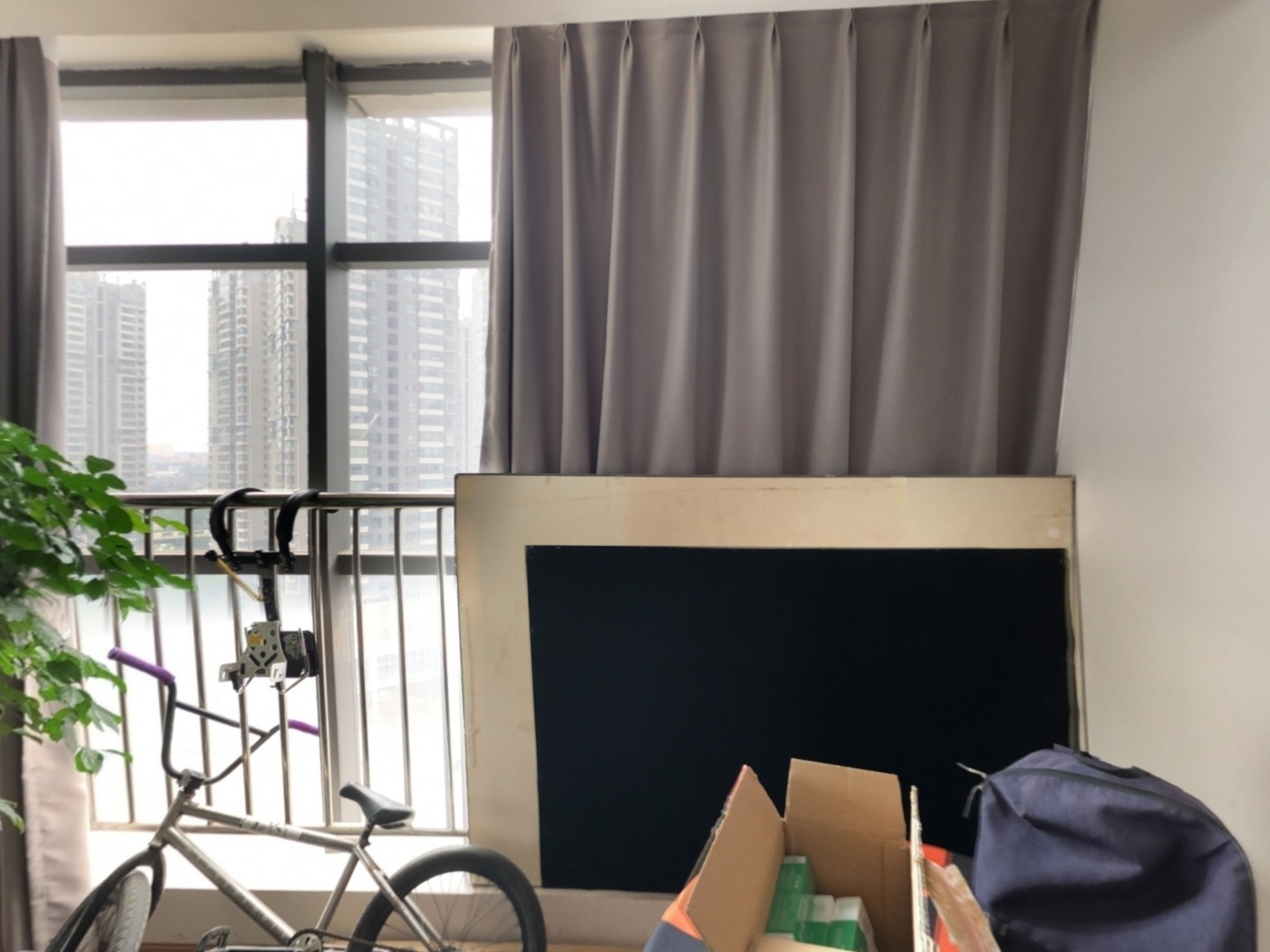 VR预览图