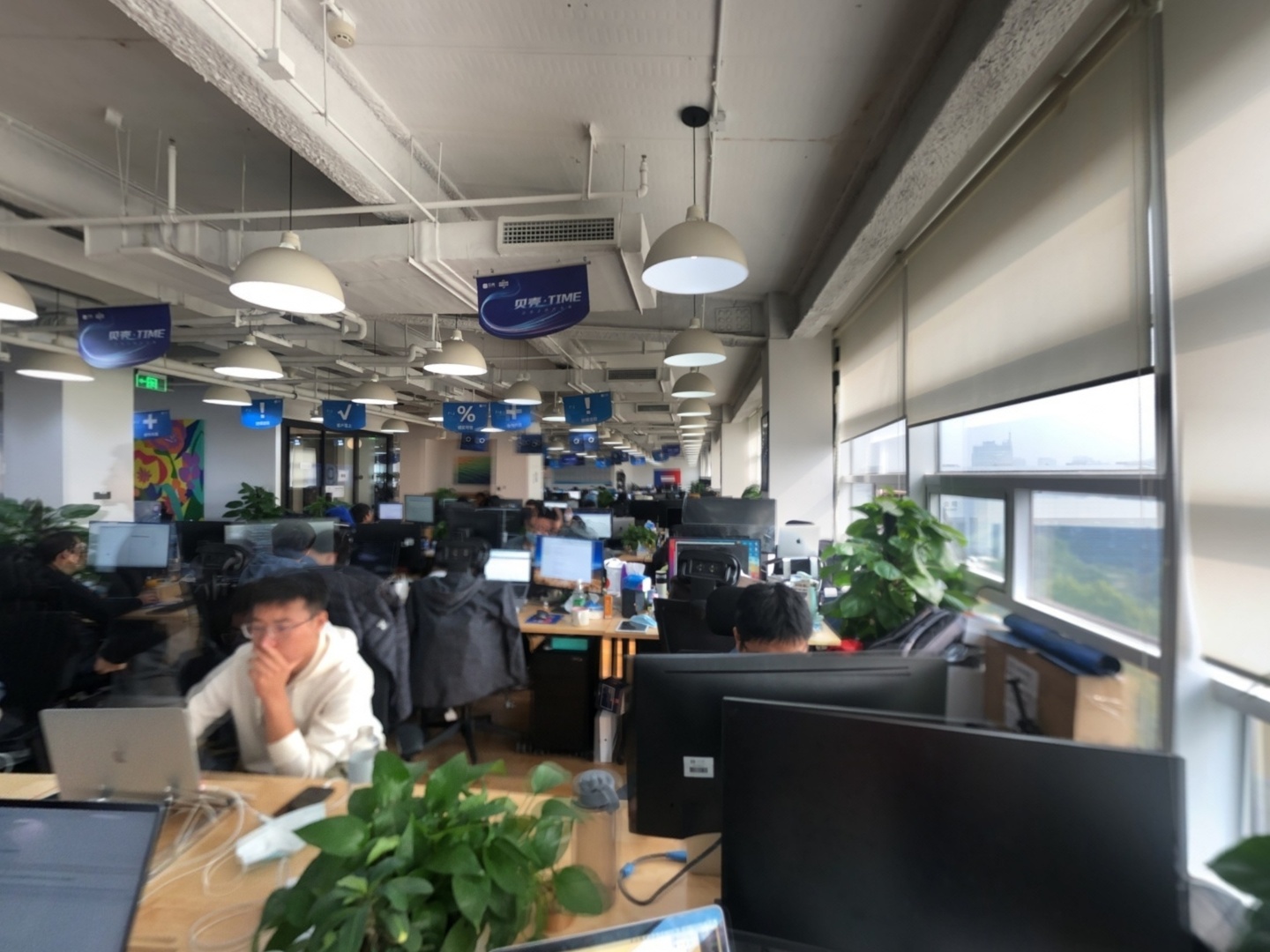 VR预览图