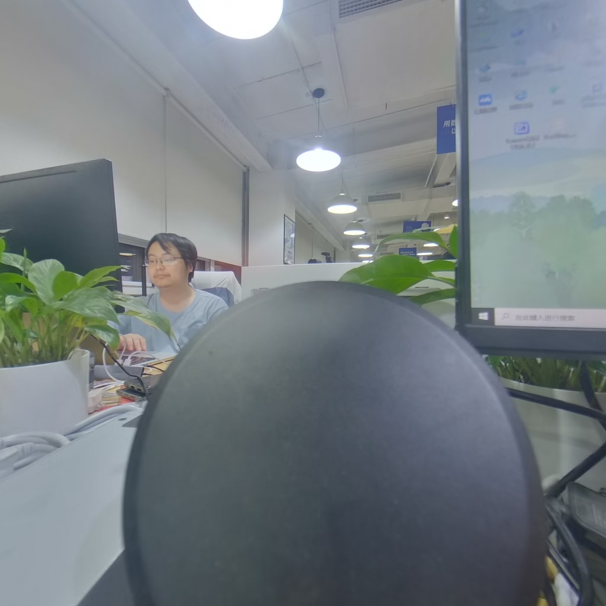 VR预览图