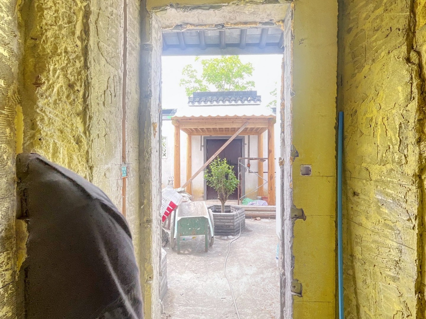 VR预览图