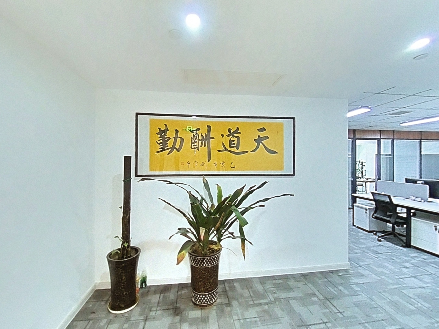 VR预览图
