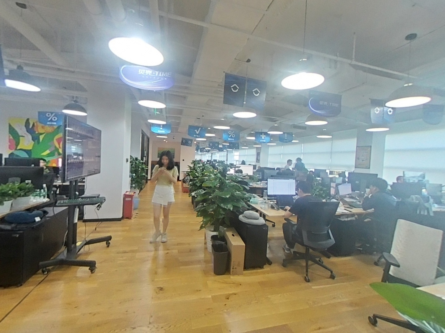 VR预览图