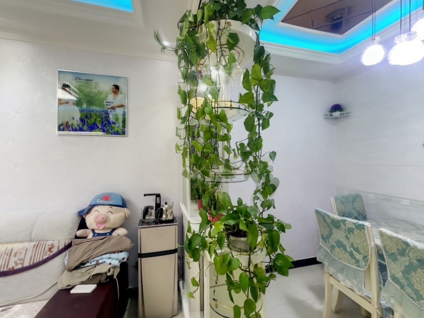 VR预览图
