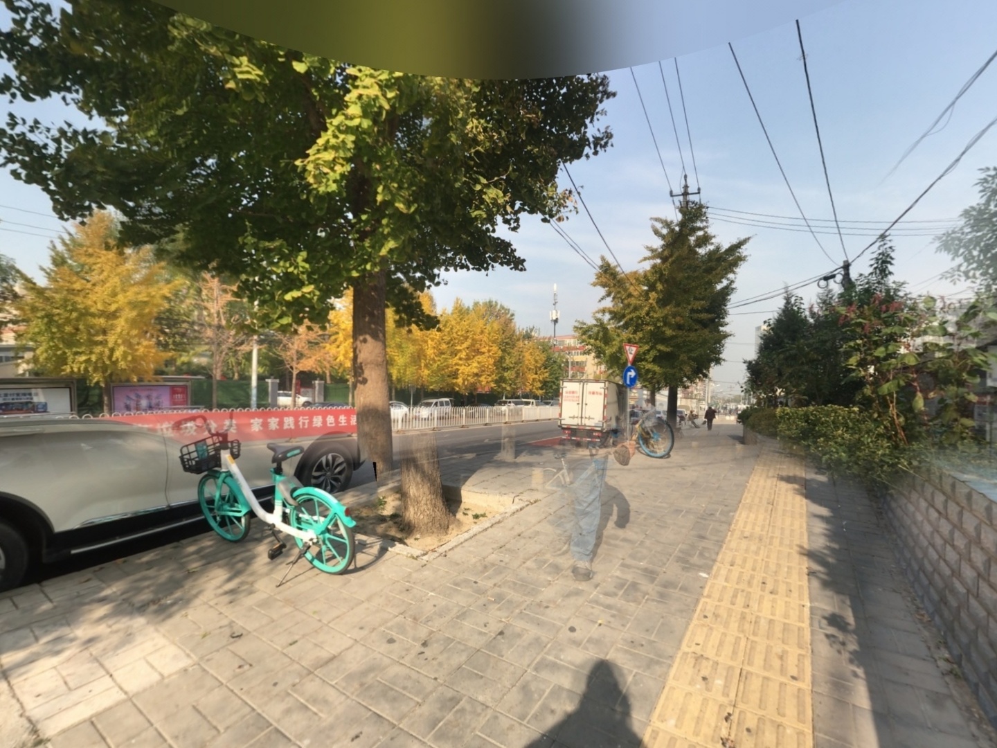VR预览图