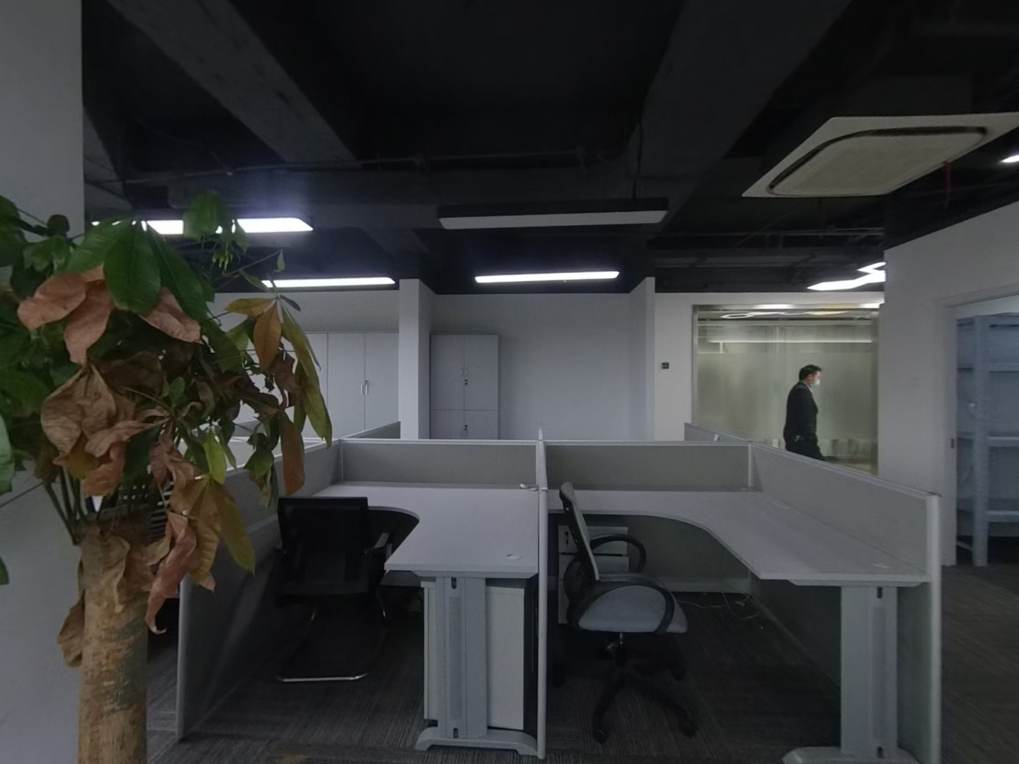 VR预览图