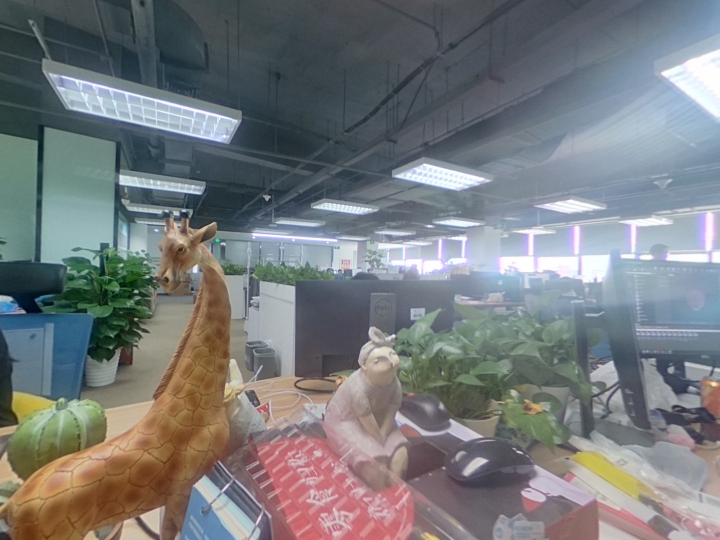 VR预览图