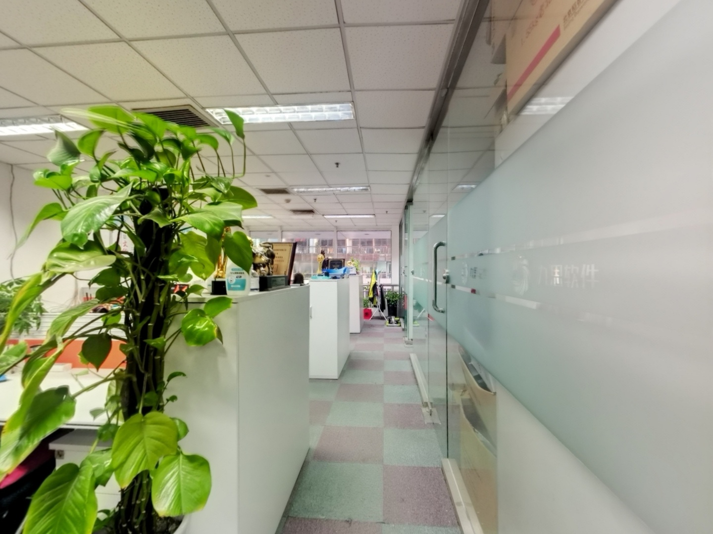 VR预览图
