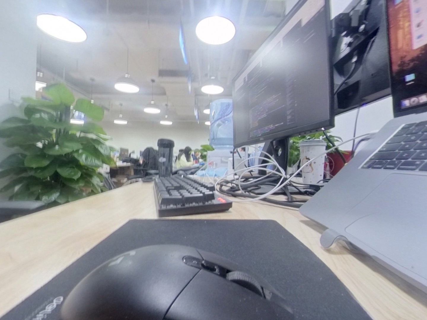 VR预览图