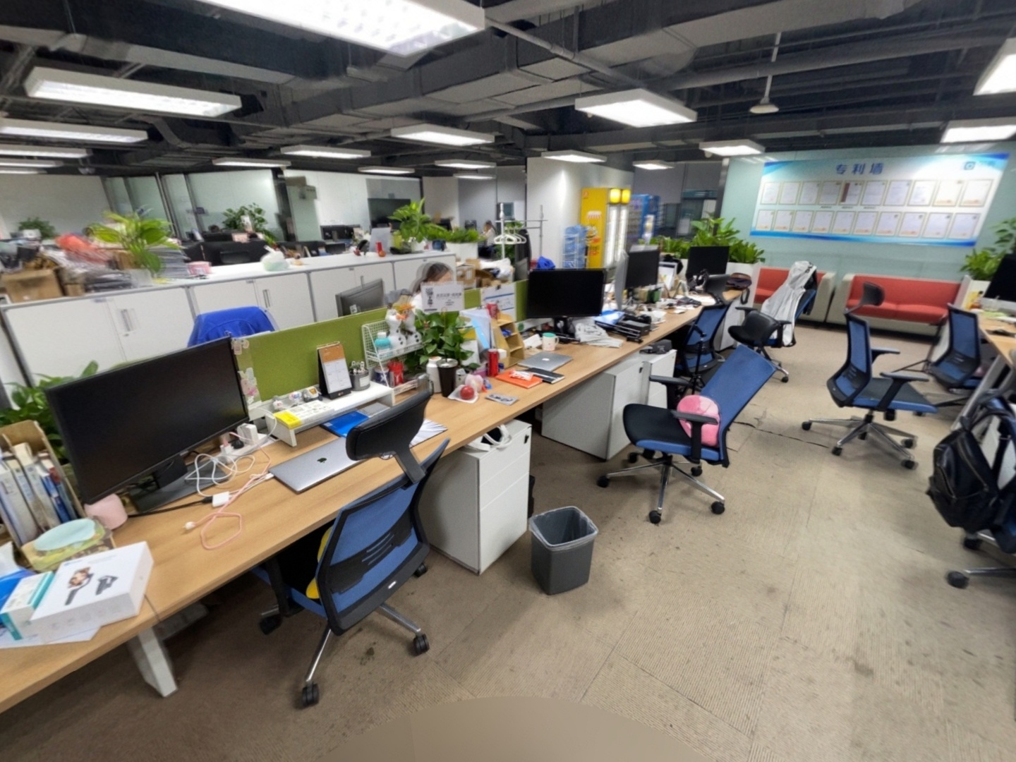 VR预览图