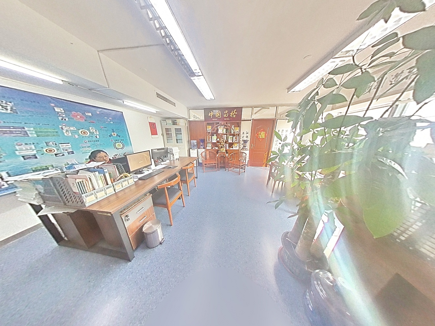 VR预览图