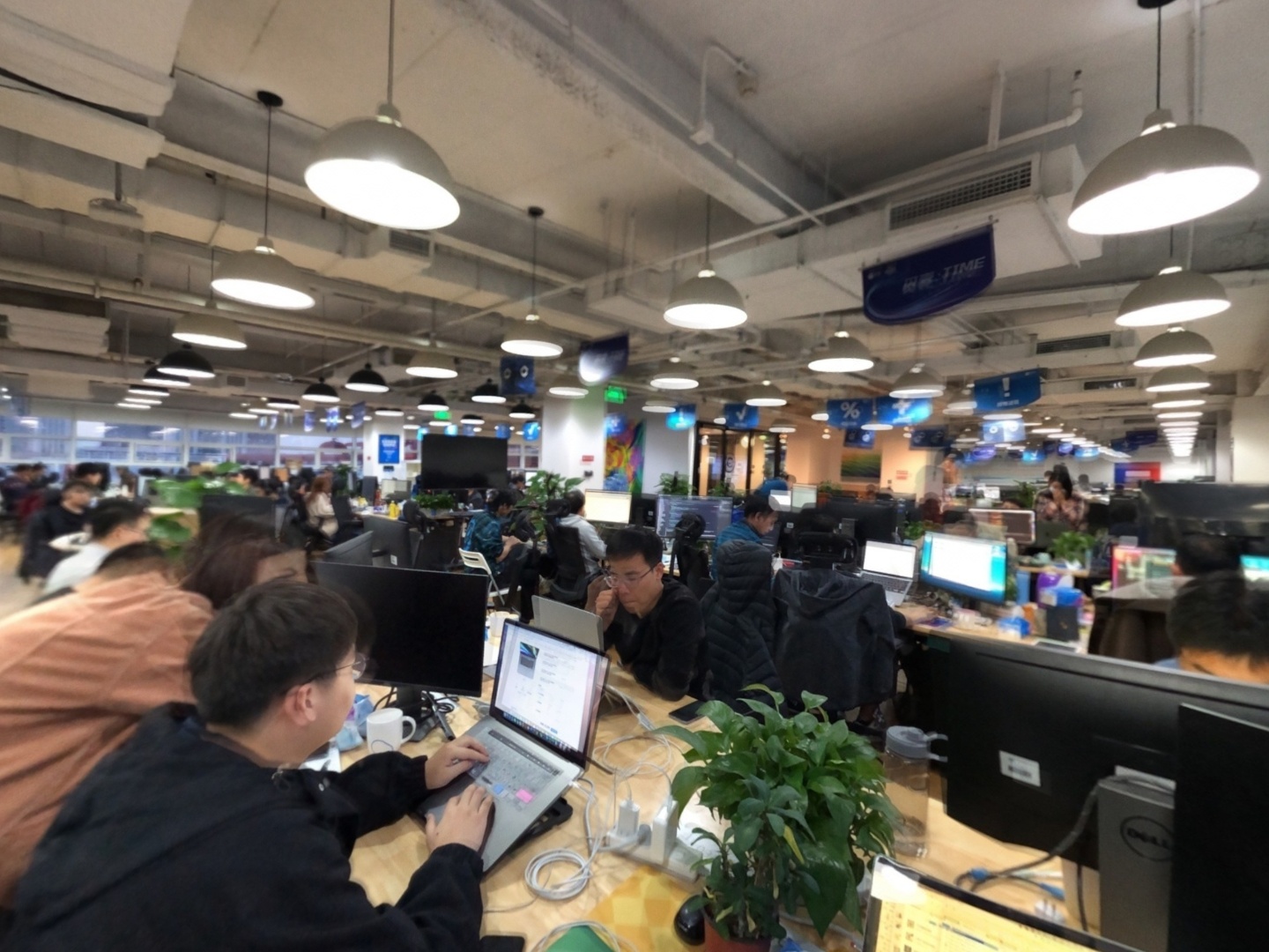 VR预览图