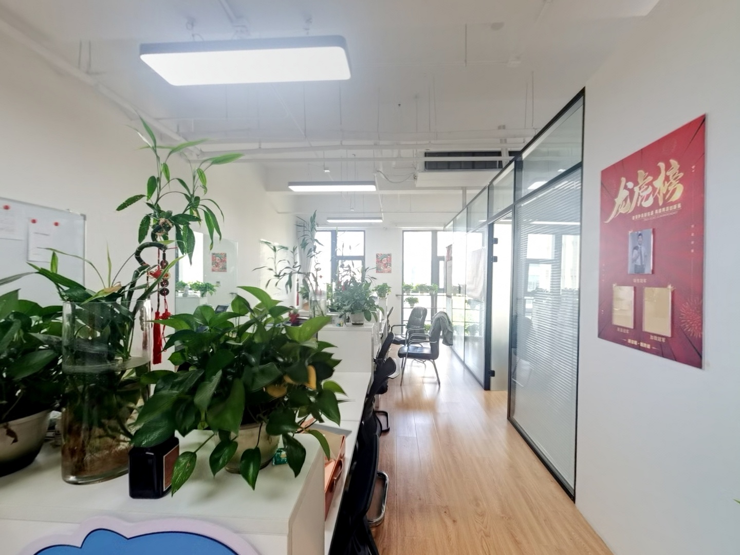 VR预览图