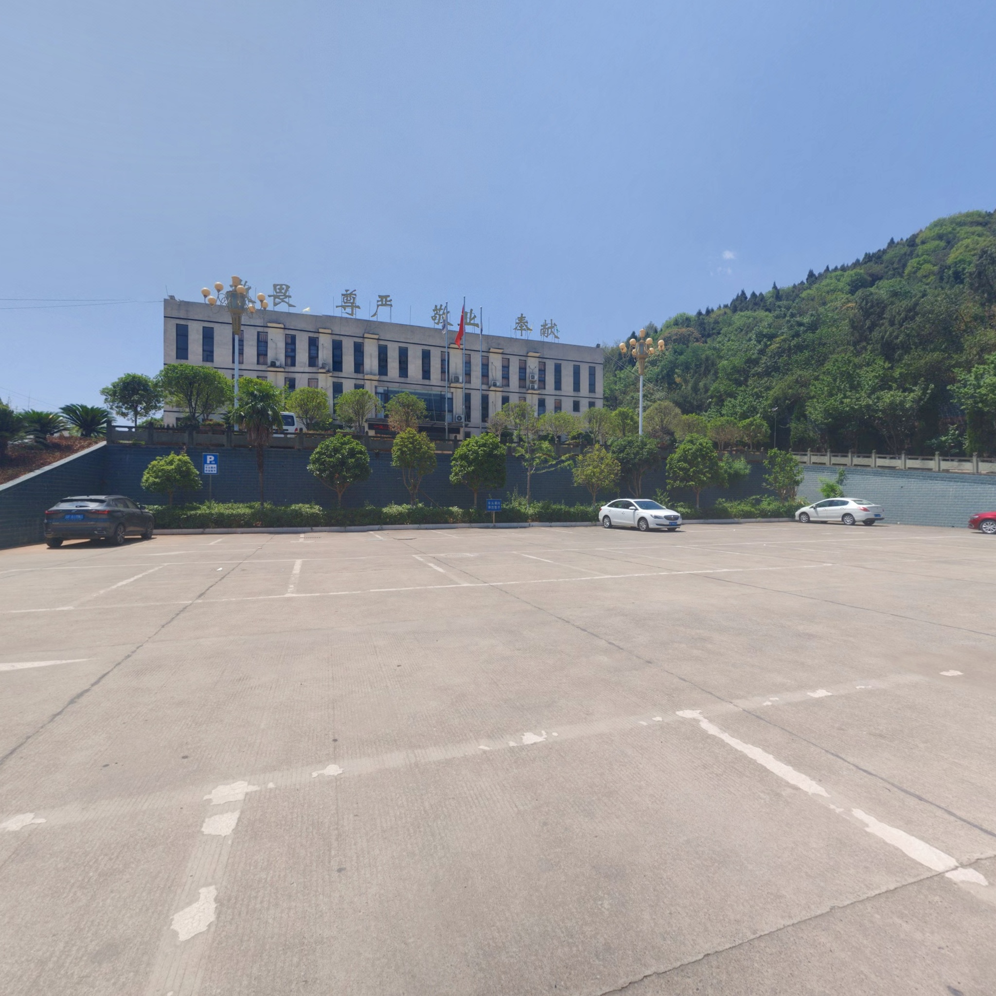 VR预览图