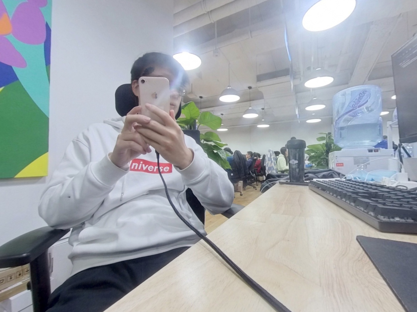 VR预览图