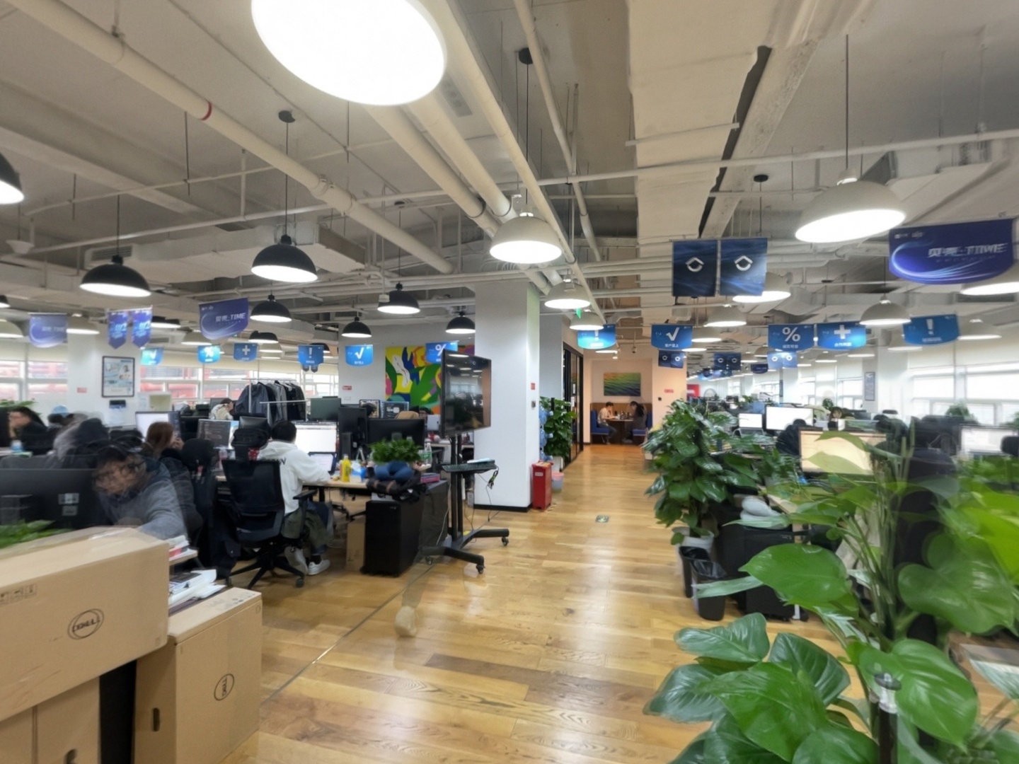 VR预览图
