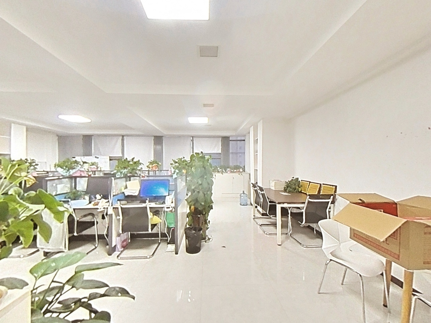 VR预览图