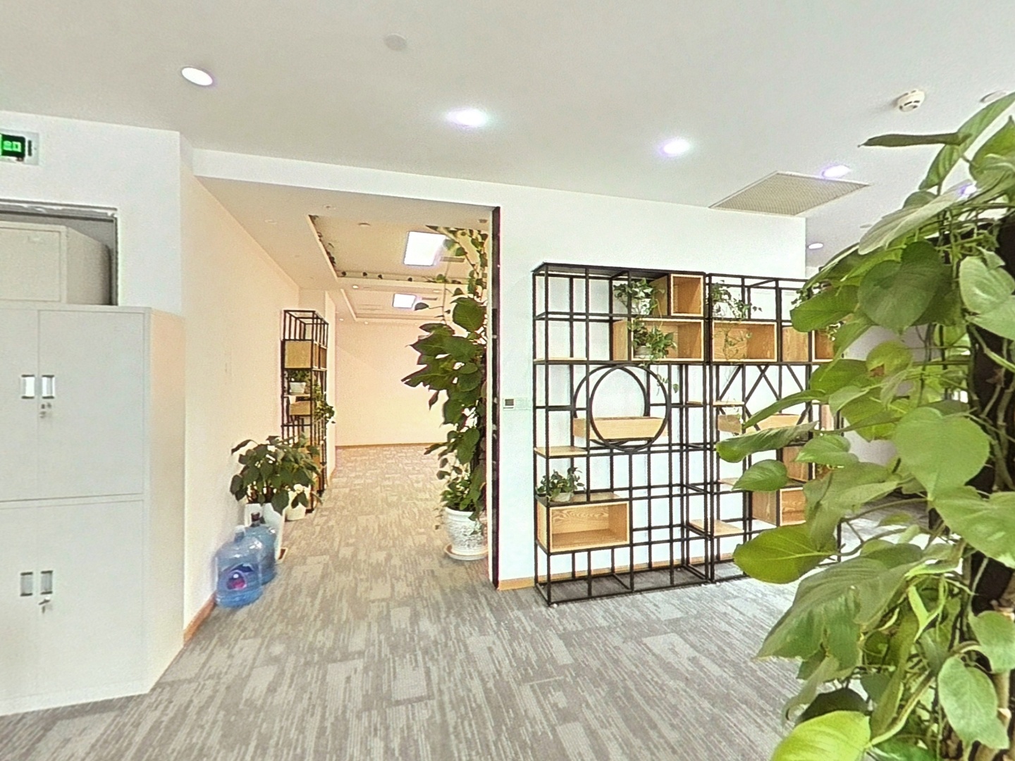 VR预览图