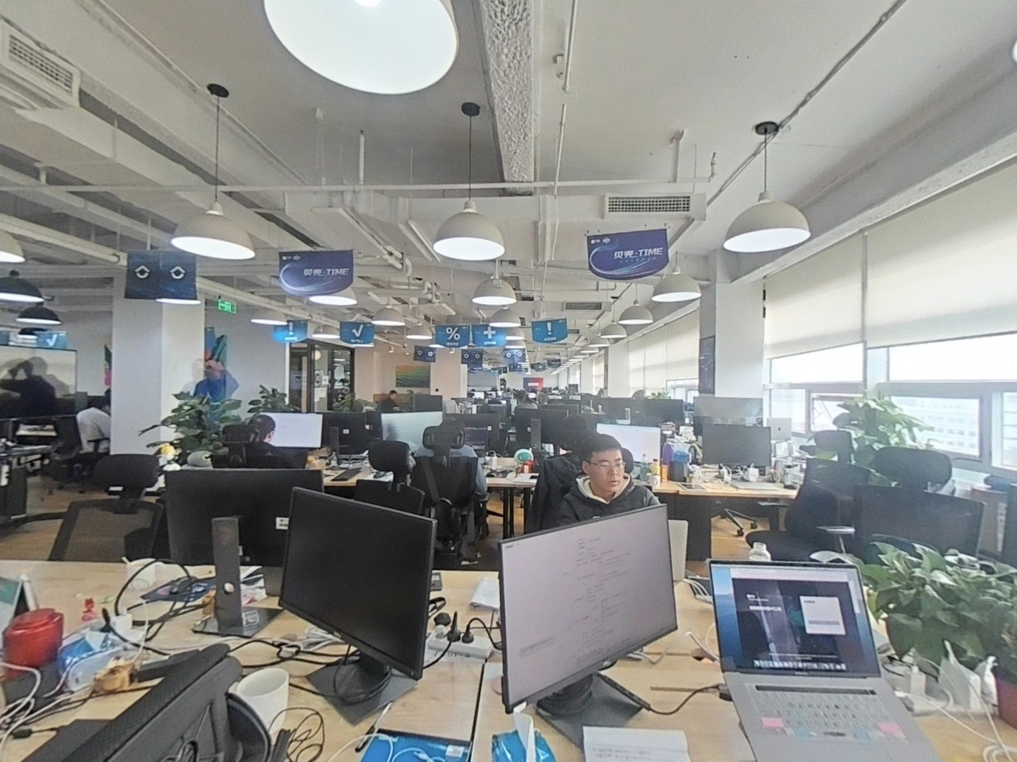VR预览图