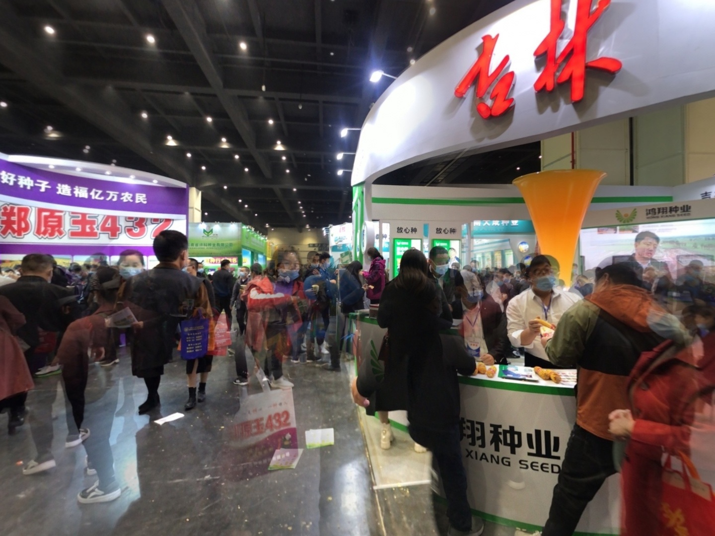 VR预览图