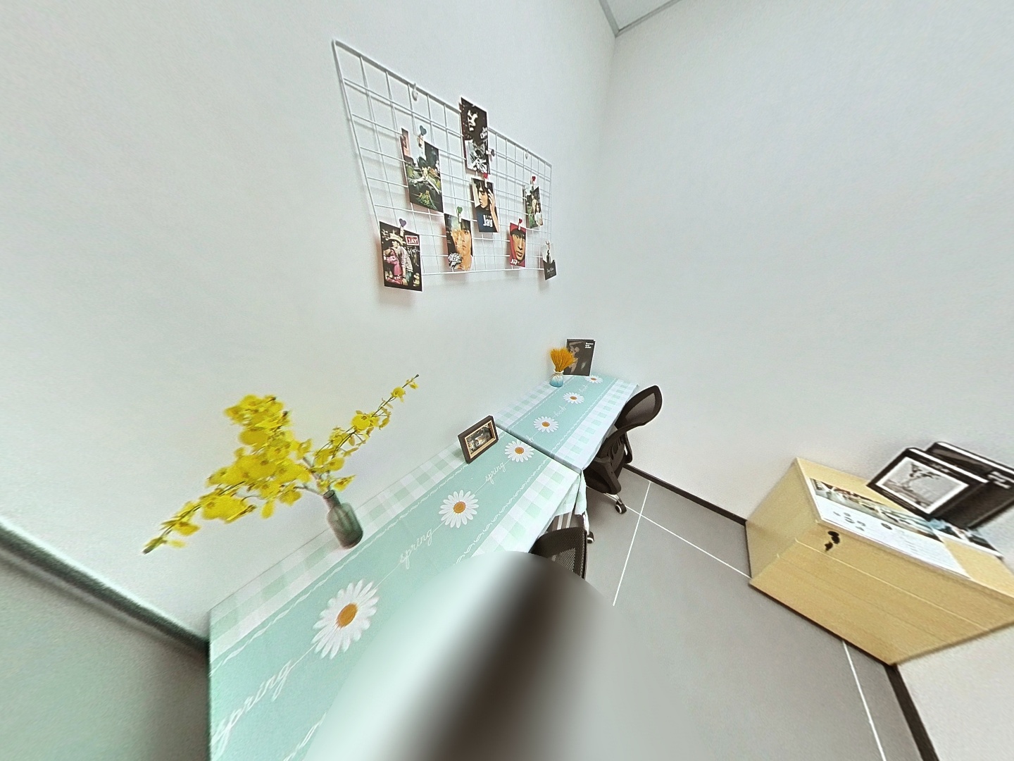 VR预览图