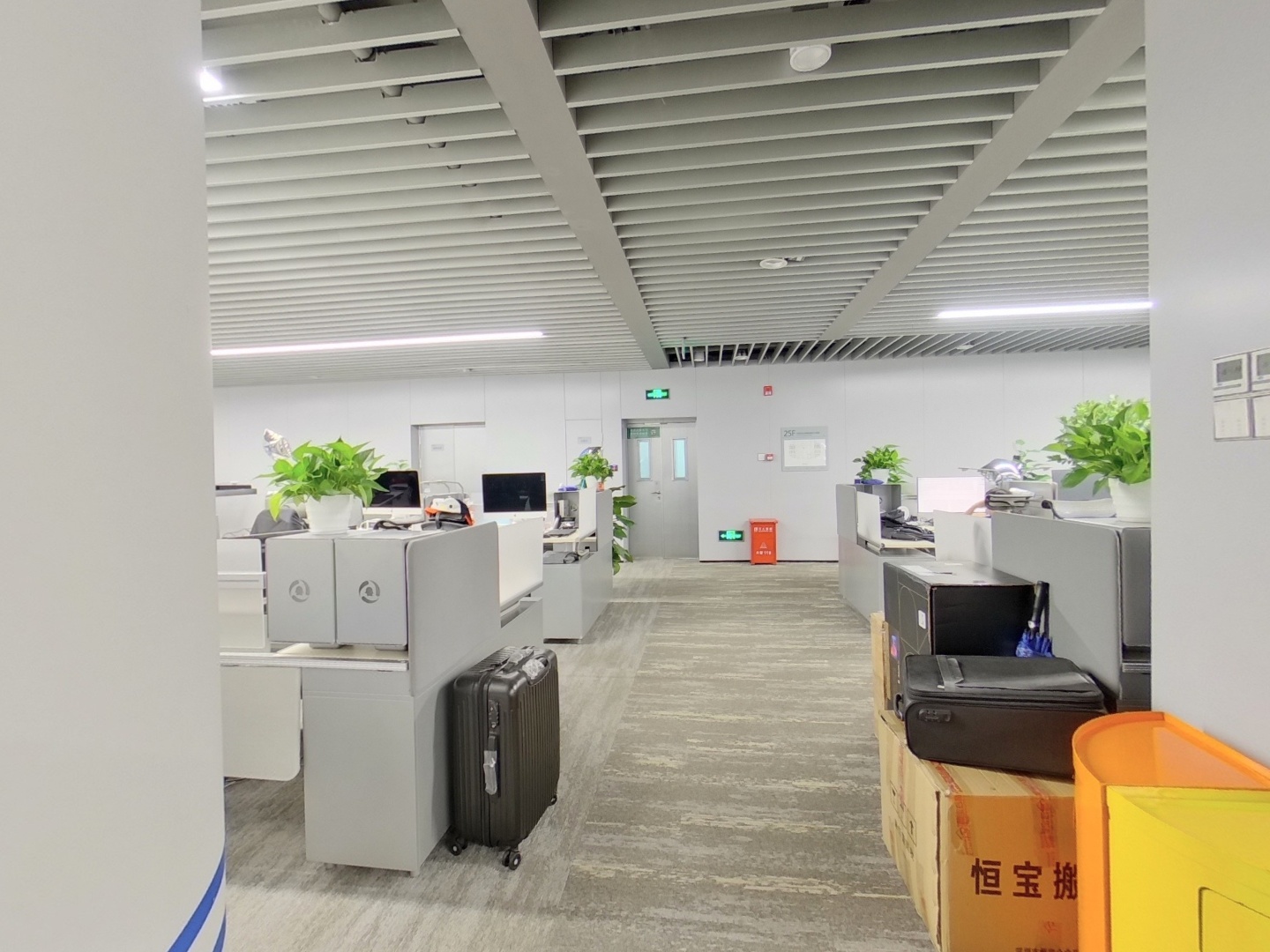 VR预览图