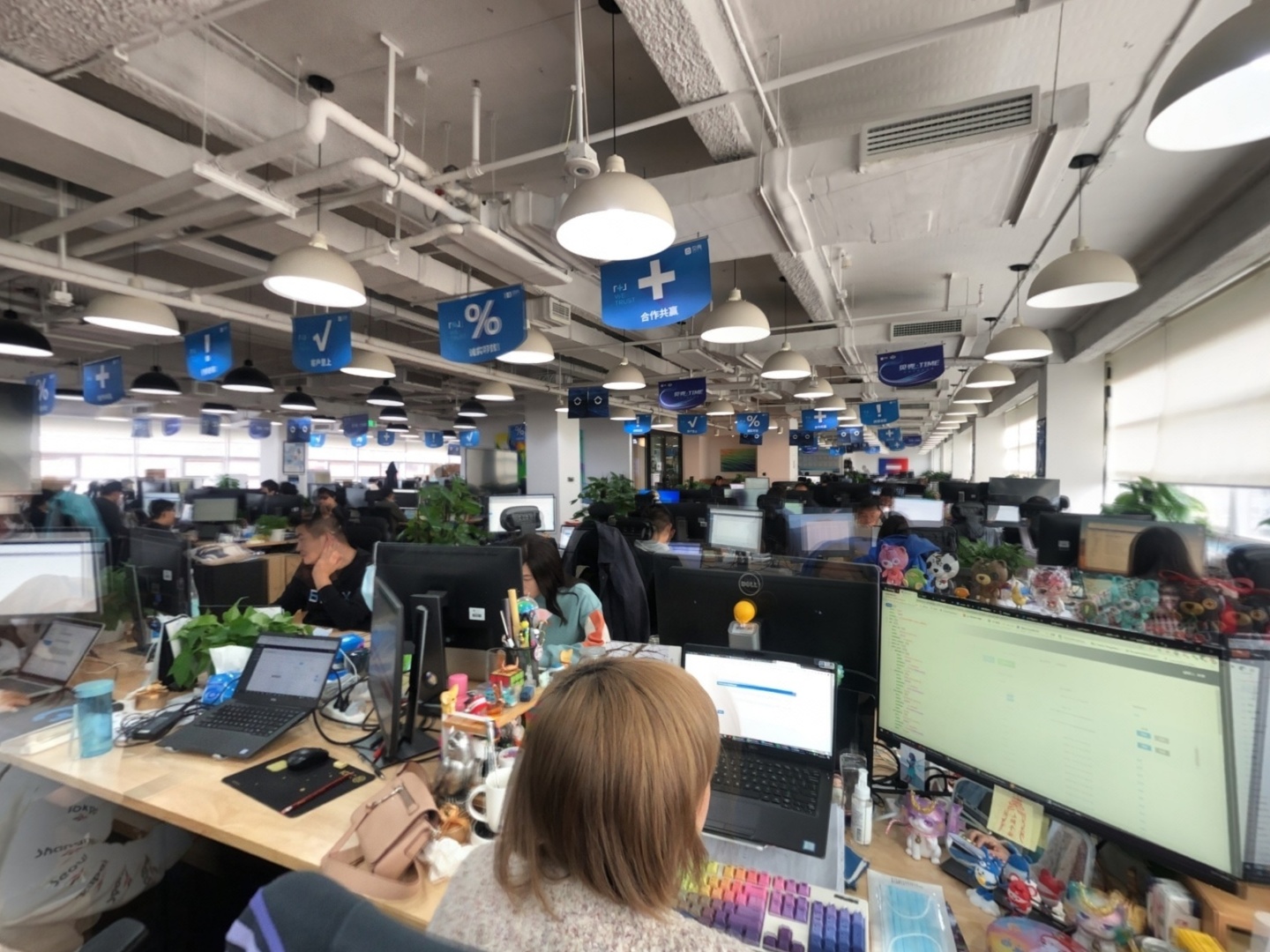 VR预览图