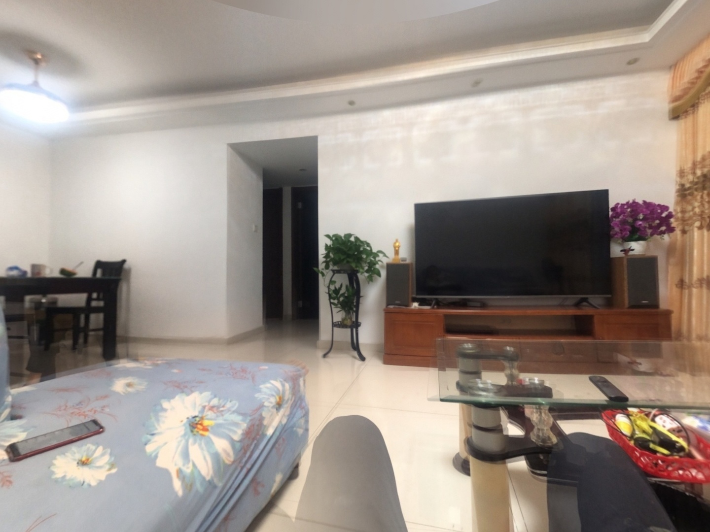 VR预览图