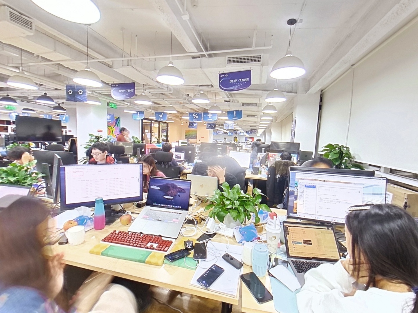 VR预览图