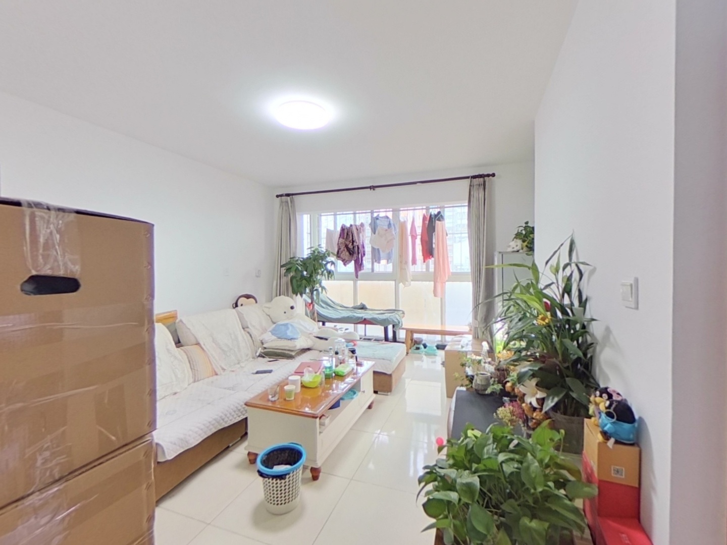 VR预览图
