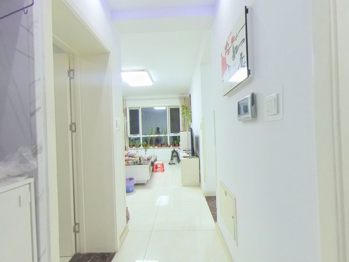 VR预览图
