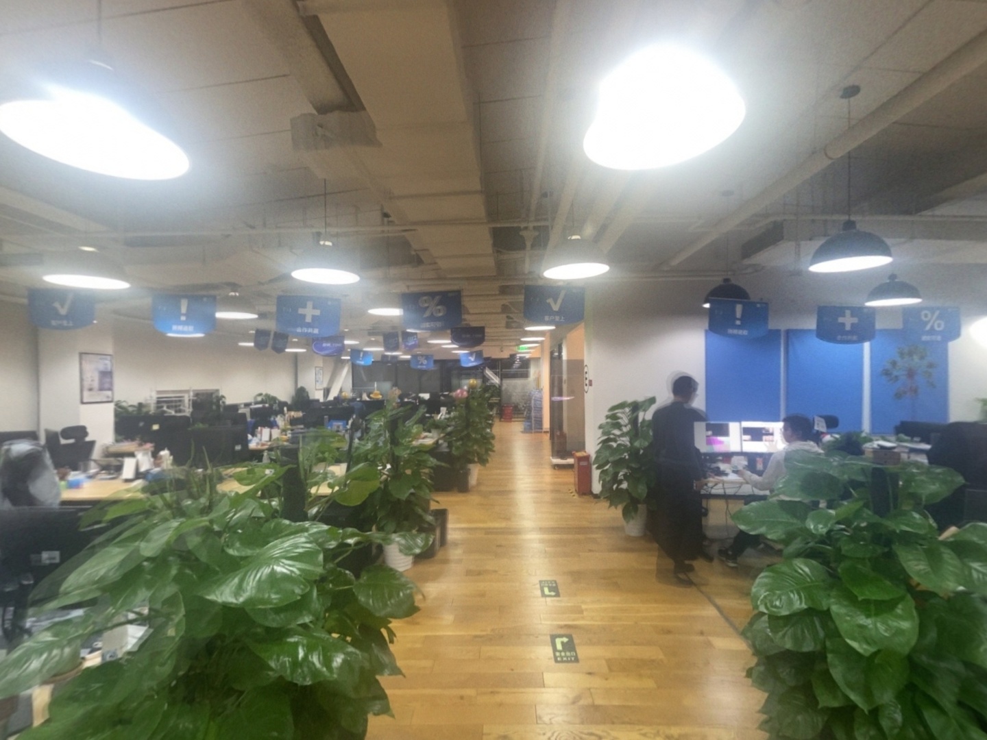 VR预览图