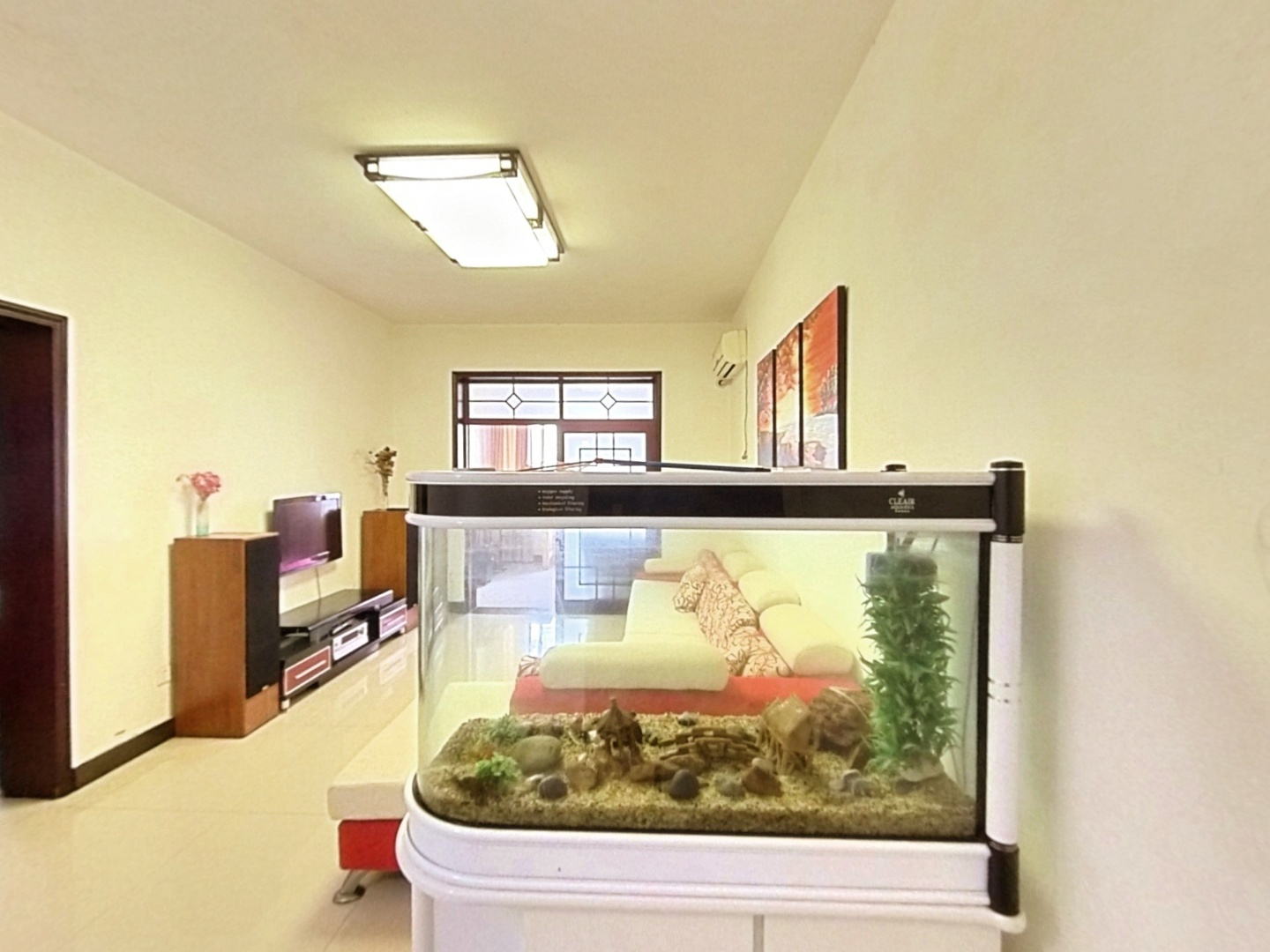 VR预览图