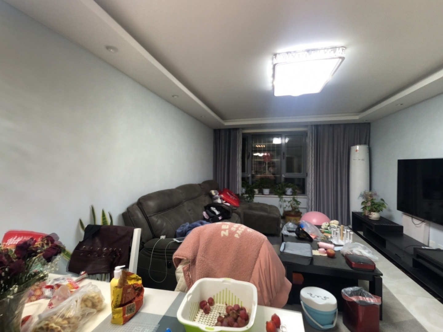 VR预览图