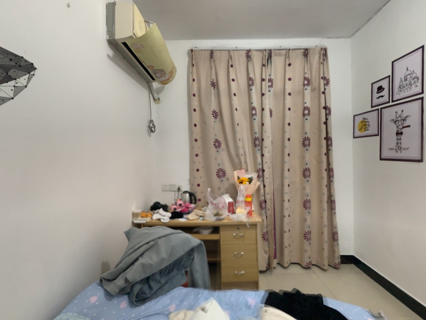 VR预览图
